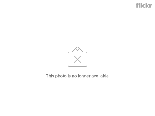 Habitat for Humanity Logo